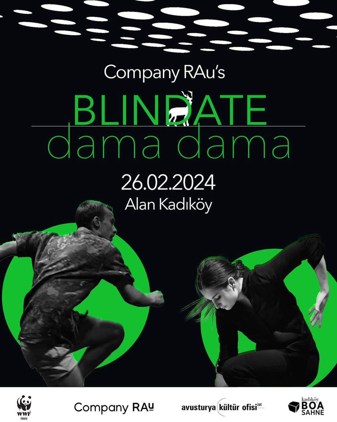 blinDate: Dama Dama performance image